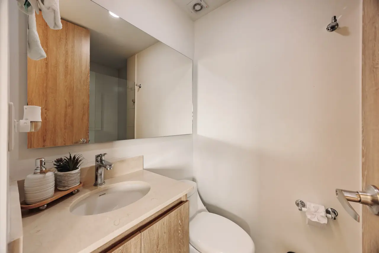 Social bathroom: vanity, mirror and toilet
